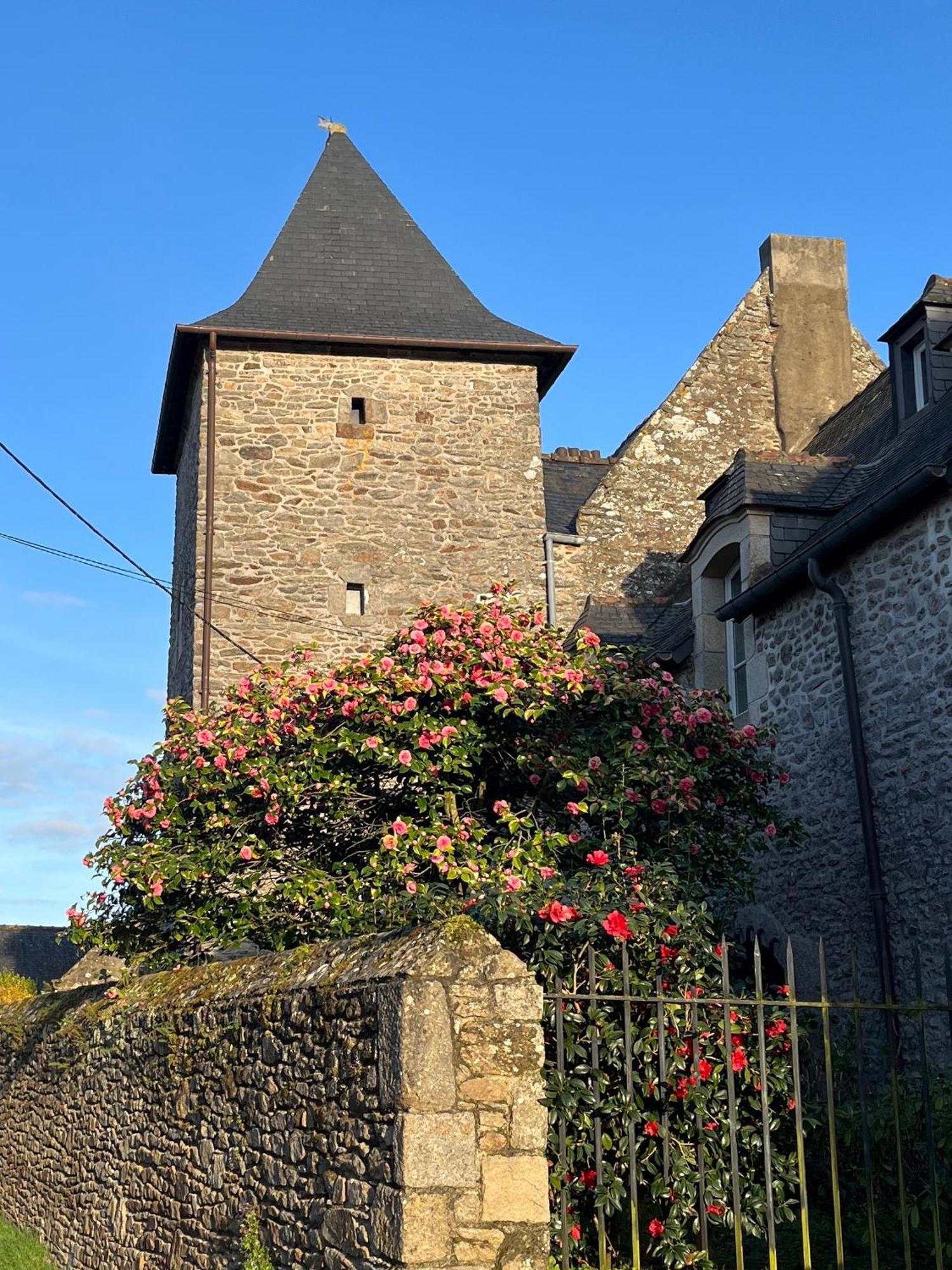 Manoir Des Bords De Rance Acomodação com café da manhã Plouër-sur-Rance Exterior foto