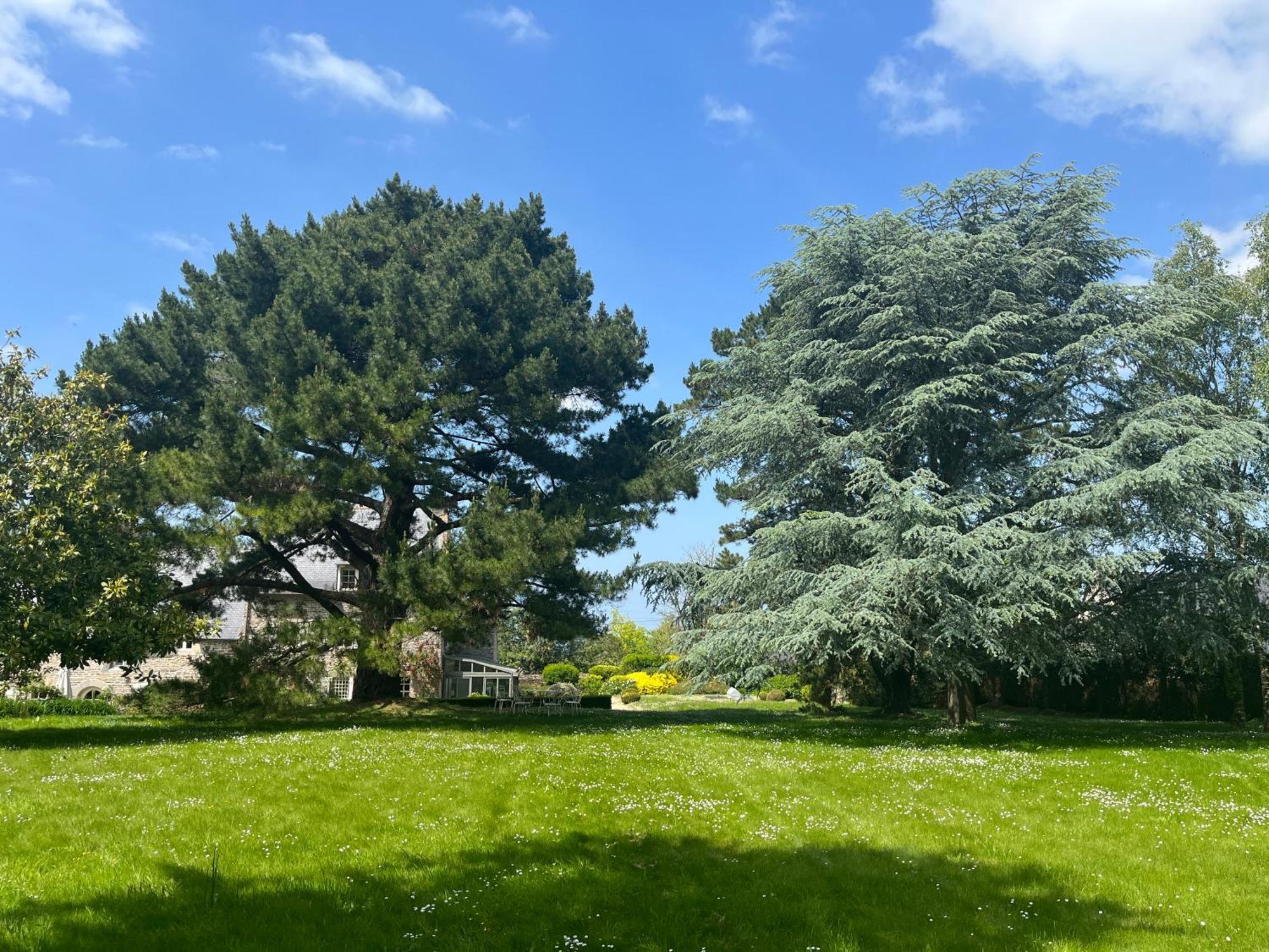 Manoir Des Bords De Rance Acomodação com café da manhã Plouër-sur-Rance Exterior foto
