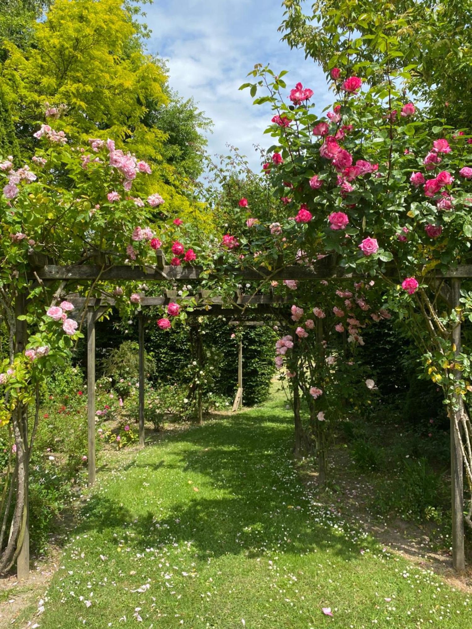 Manoir Des Bords De Rance Acomodação com café da manhã Plouër-sur-Rance Exterior foto