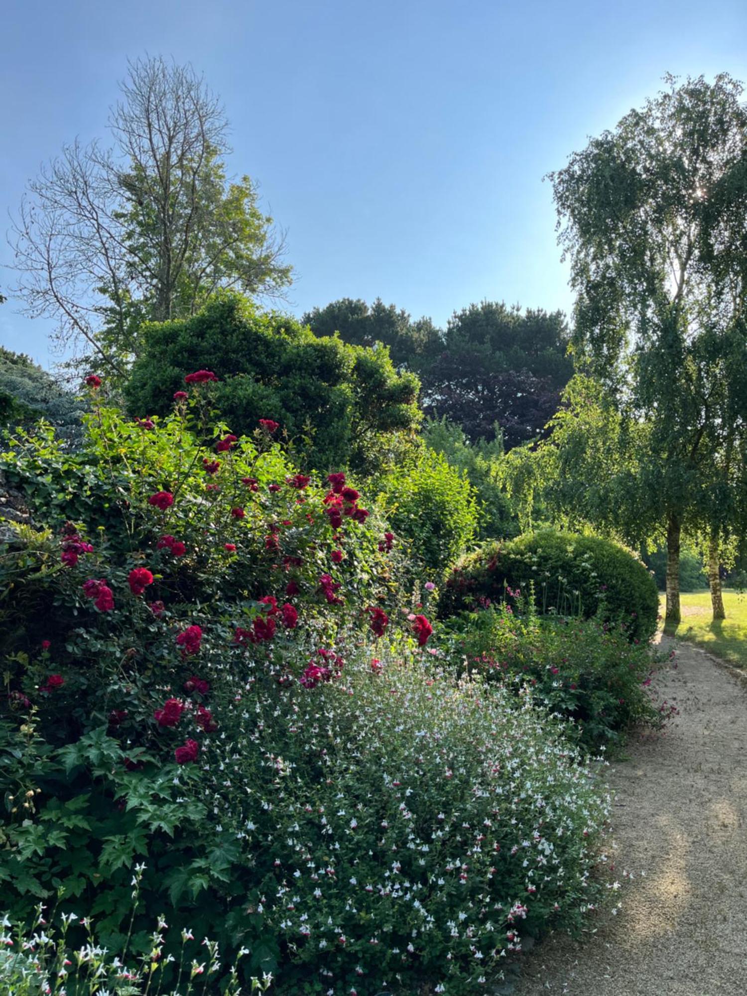 Manoir Des Bords De Rance Acomodação com café da manhã Plouër-sur-Rance Exterior foto